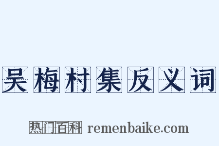 吴梅村集反义词是什么意思的图片